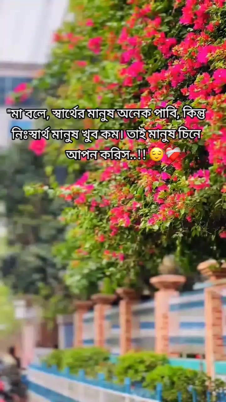 @𝐉ɪʜꫝ𝙽    ⸙