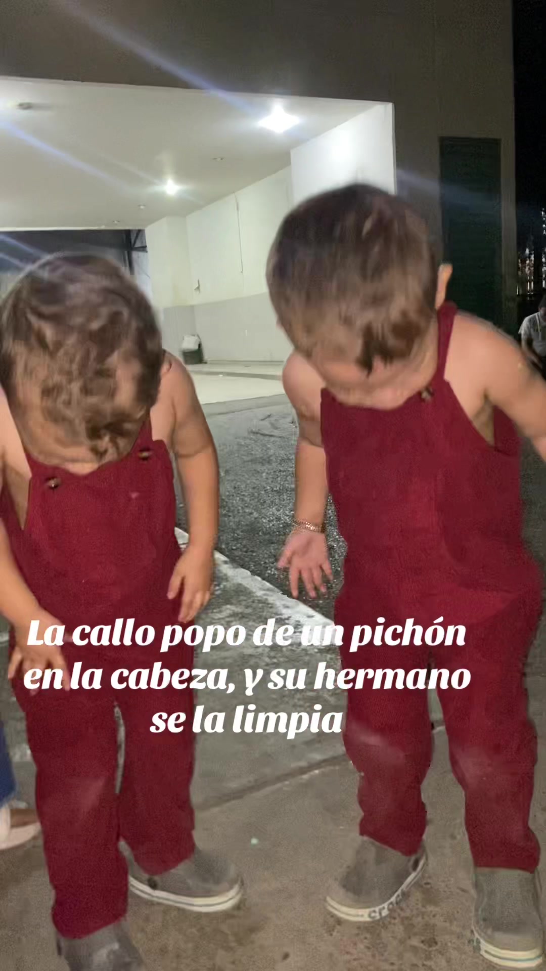 @Mateo y Tadeo