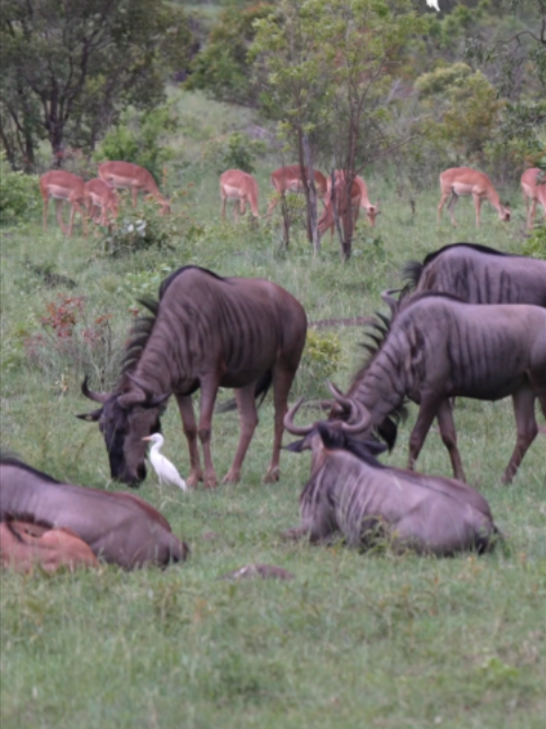 @Madbookings Travel Namibia