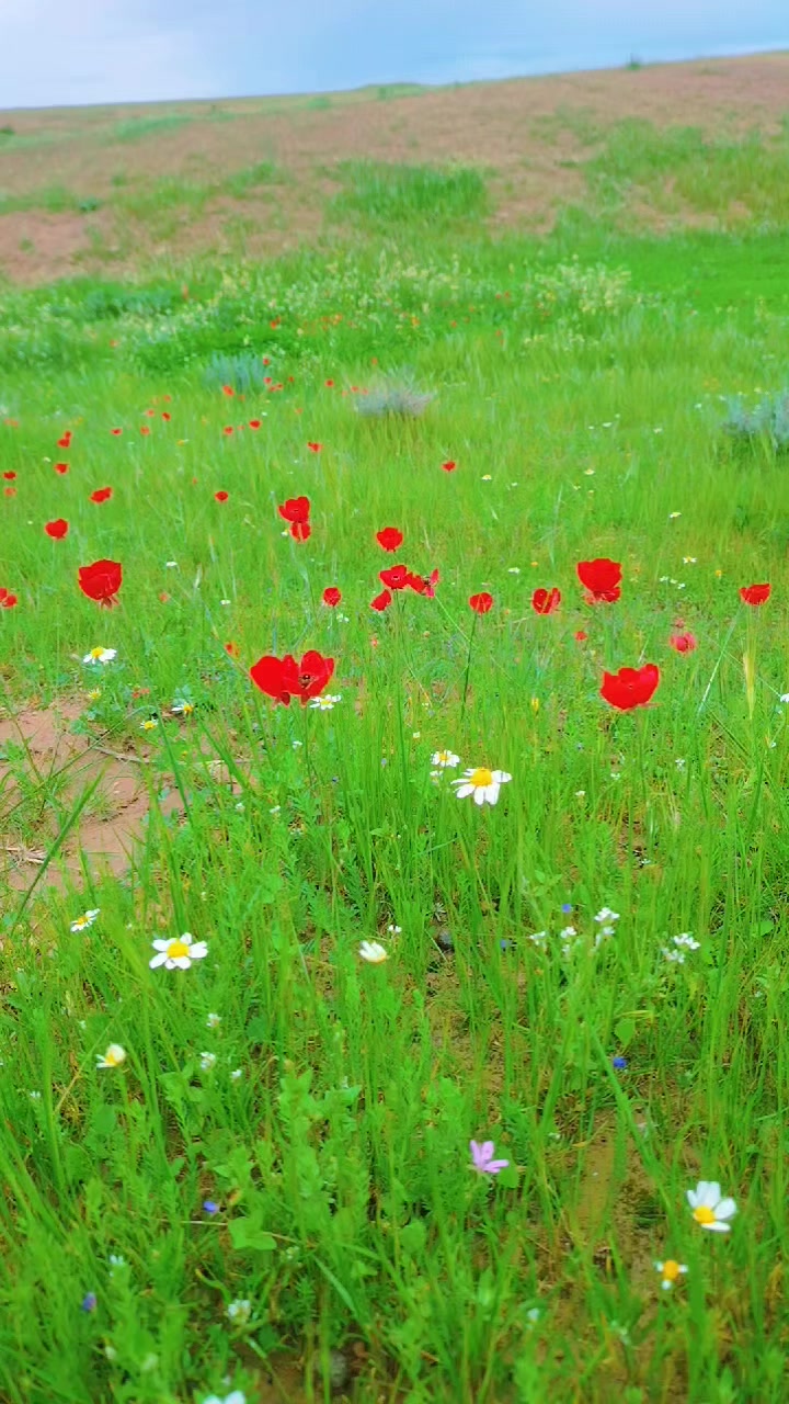 @وستا اياد تنكجي السمكري