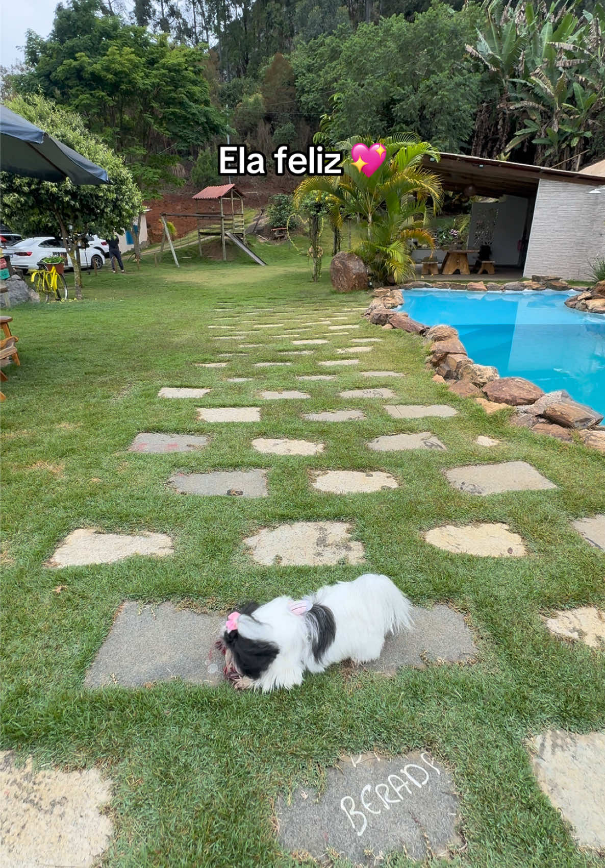 @Iara Carvalho
