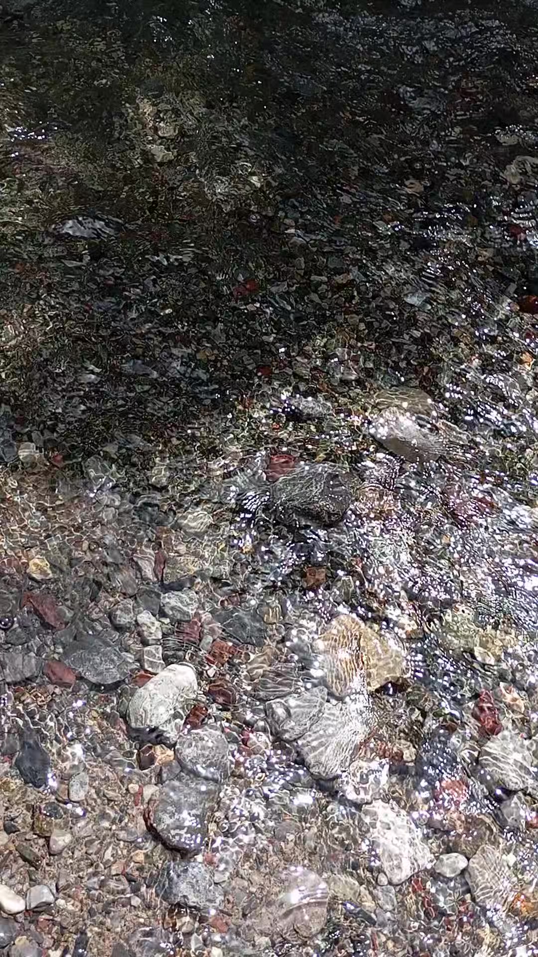 @mavi kelebek