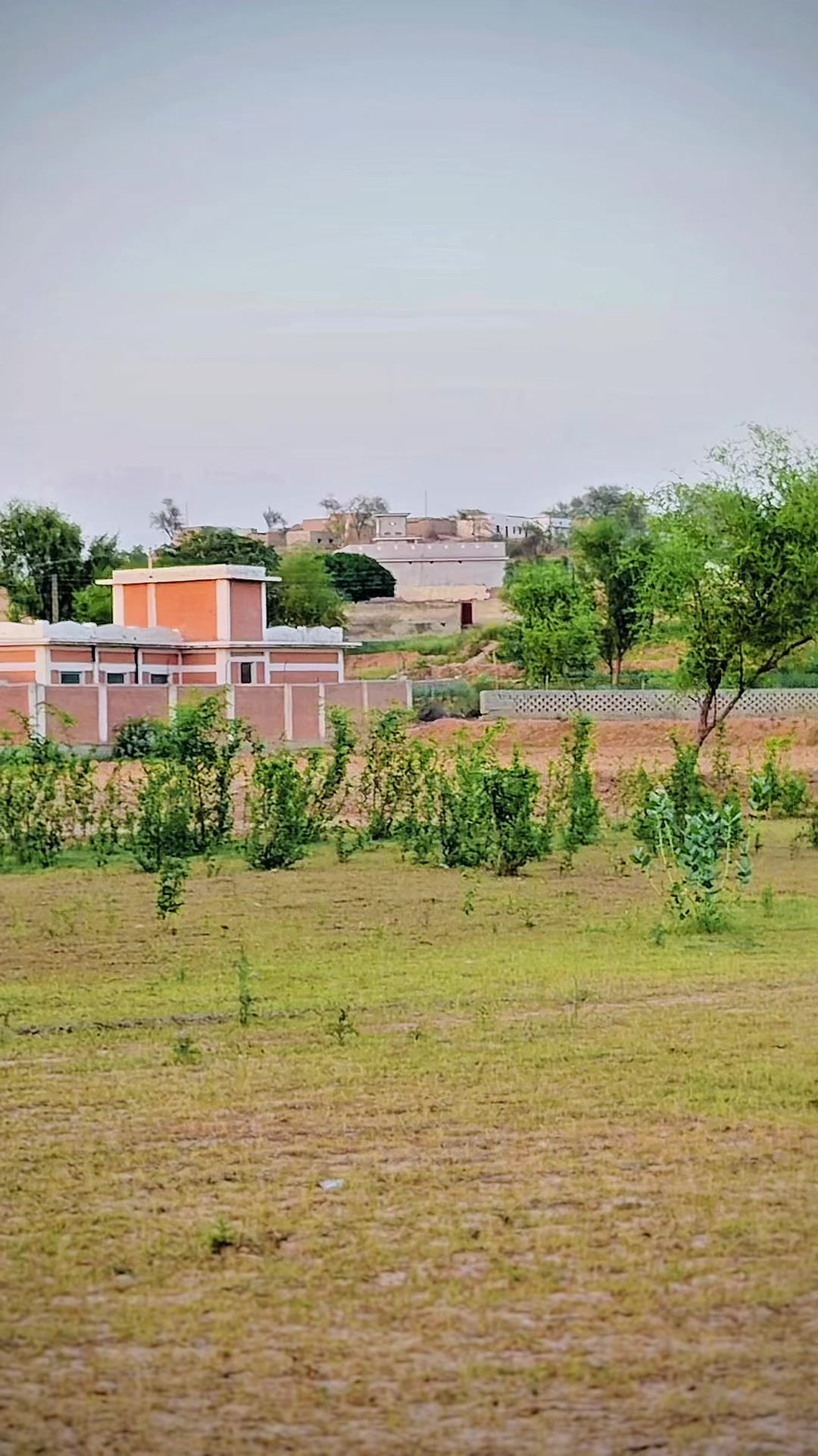 @Barkat Khattak