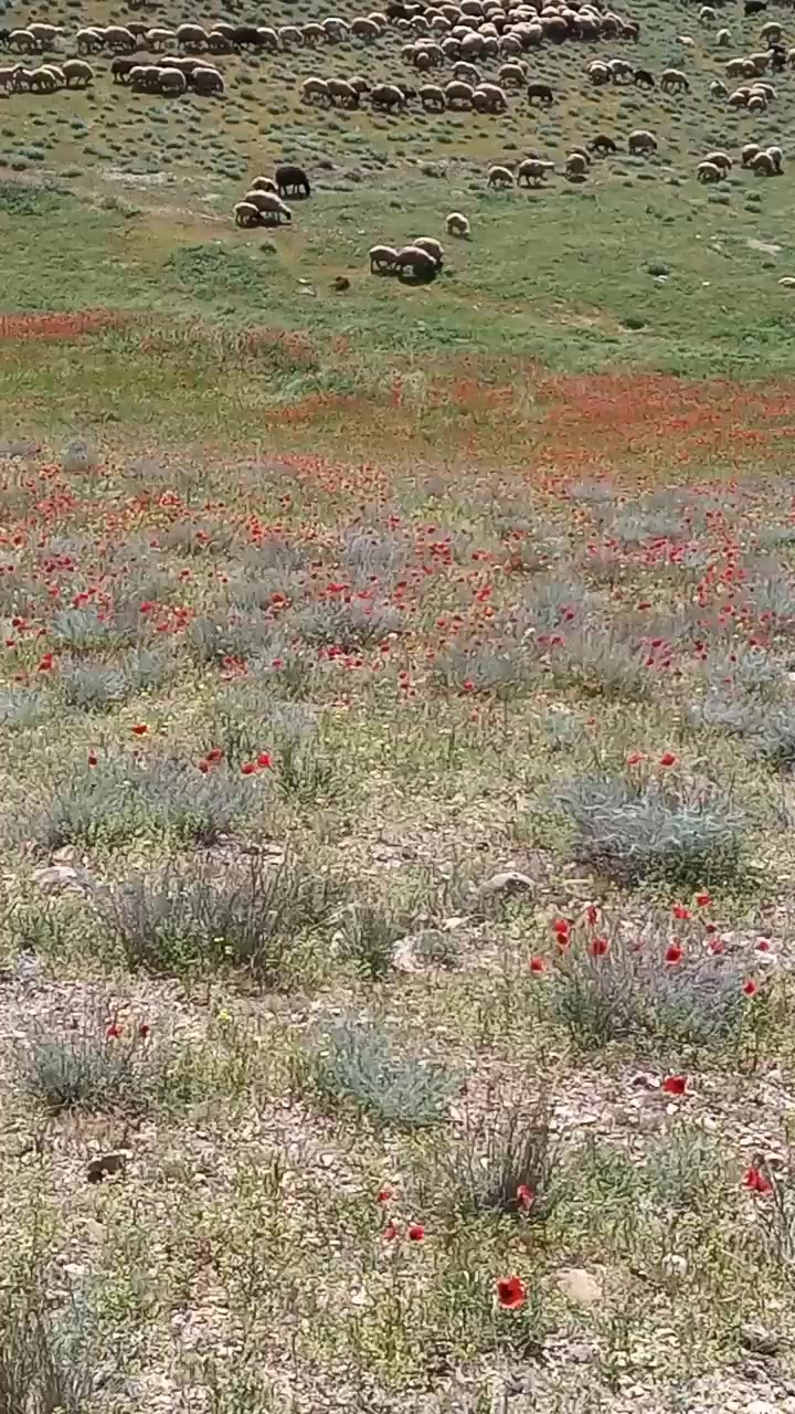 @Zahid cehrili