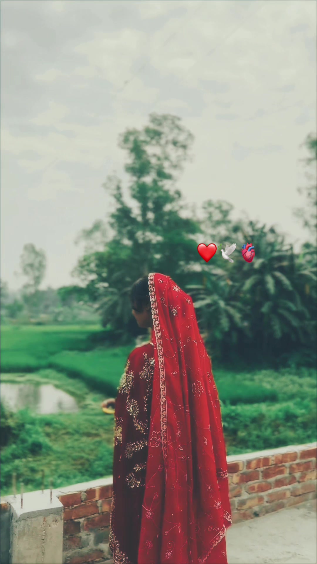 @🕊️