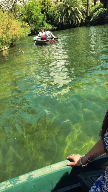 @Anu 🦋 🇲🇺 ❤️ 🇮🇪 🦋