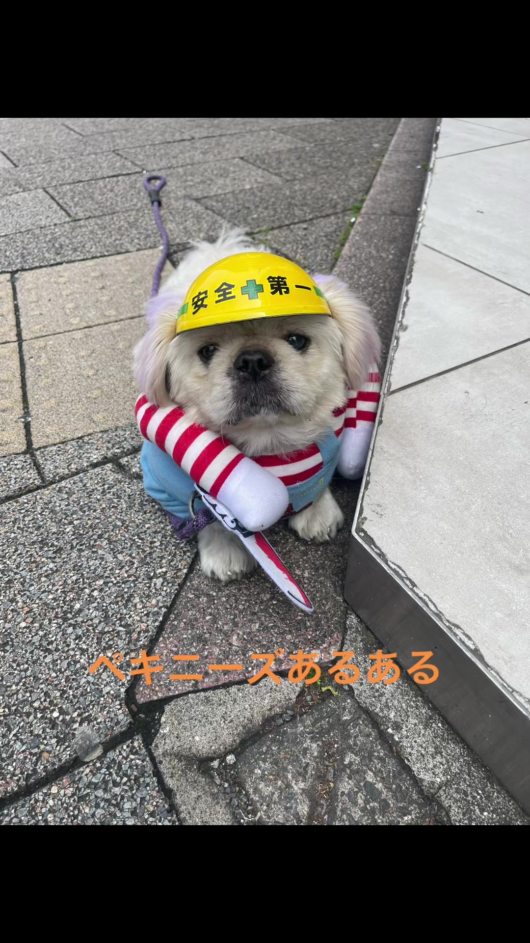 @大将