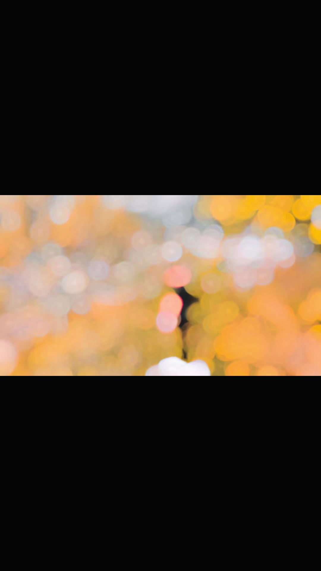 @═☆☬彡𝖬𐌵ż𝔞𝚖ᵢ𝙡кђคภ𝓓𝖔𝖓彡☬☆═