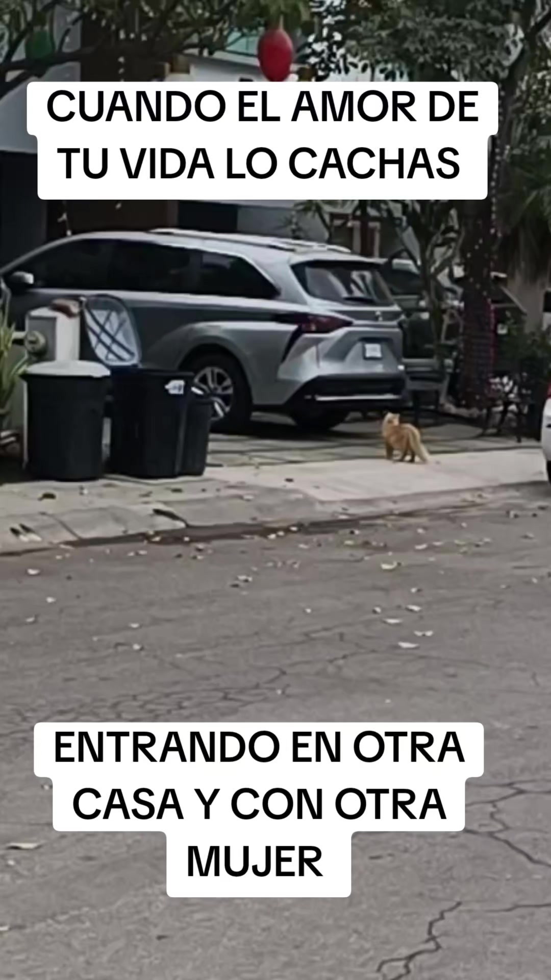@Andreina