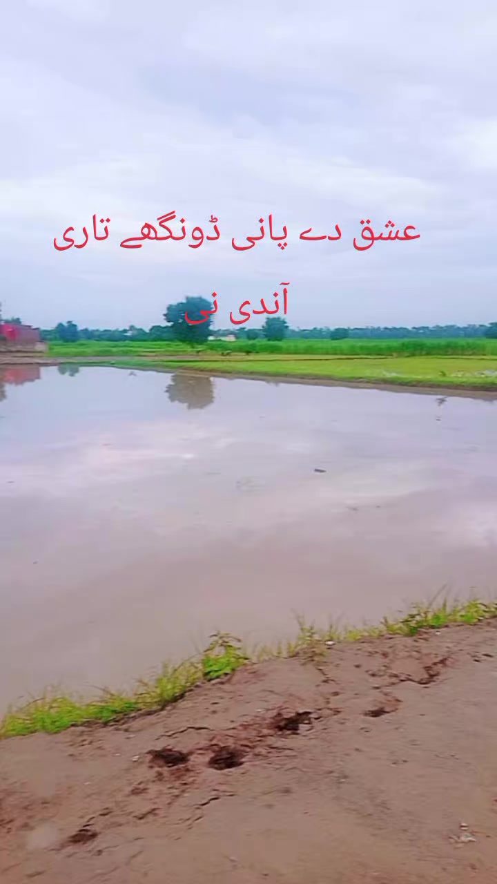 @Shah g