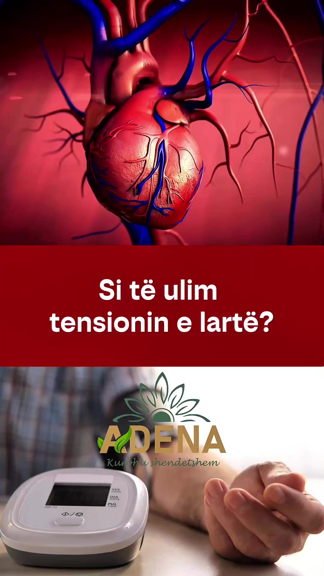 @adena.al