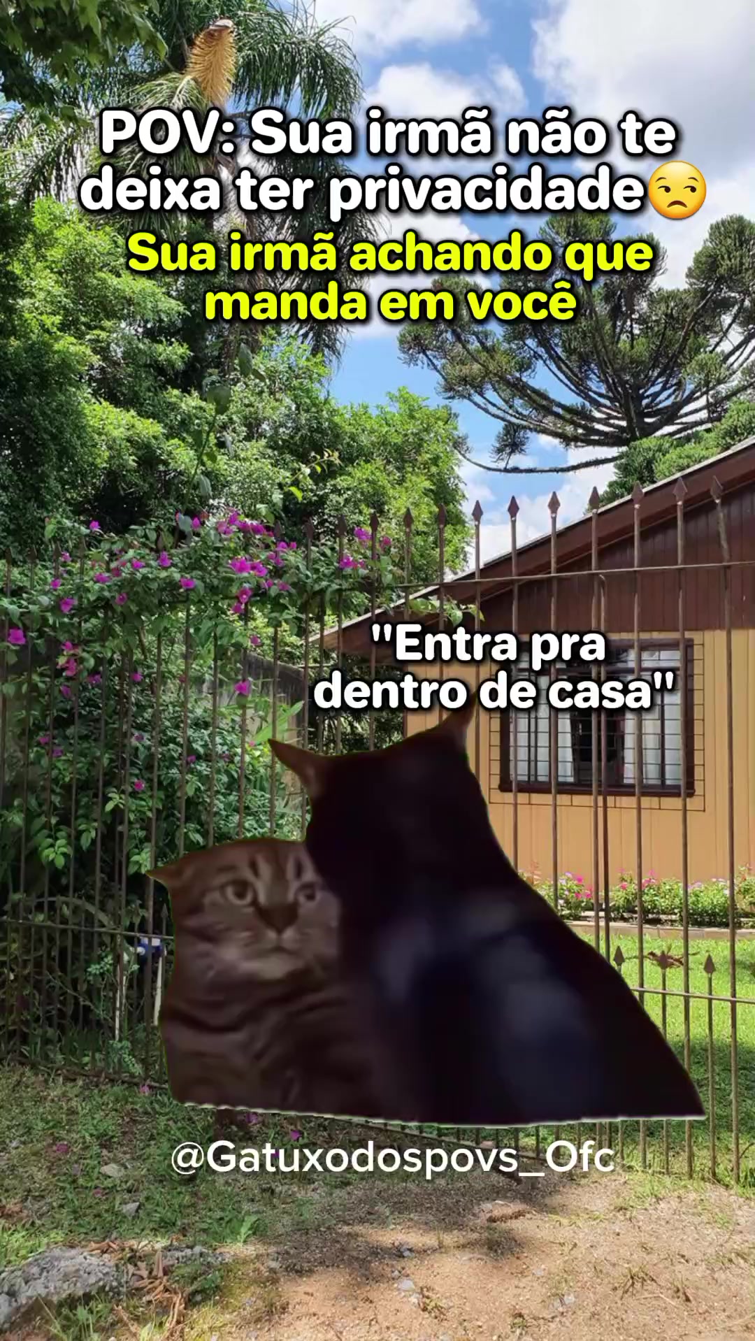 @Gatuxo Dos Povs Ofc