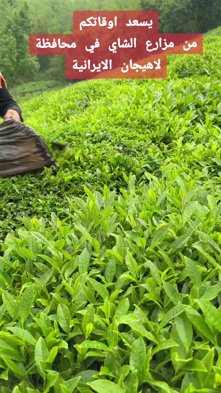 @قناة دليلك السياحي