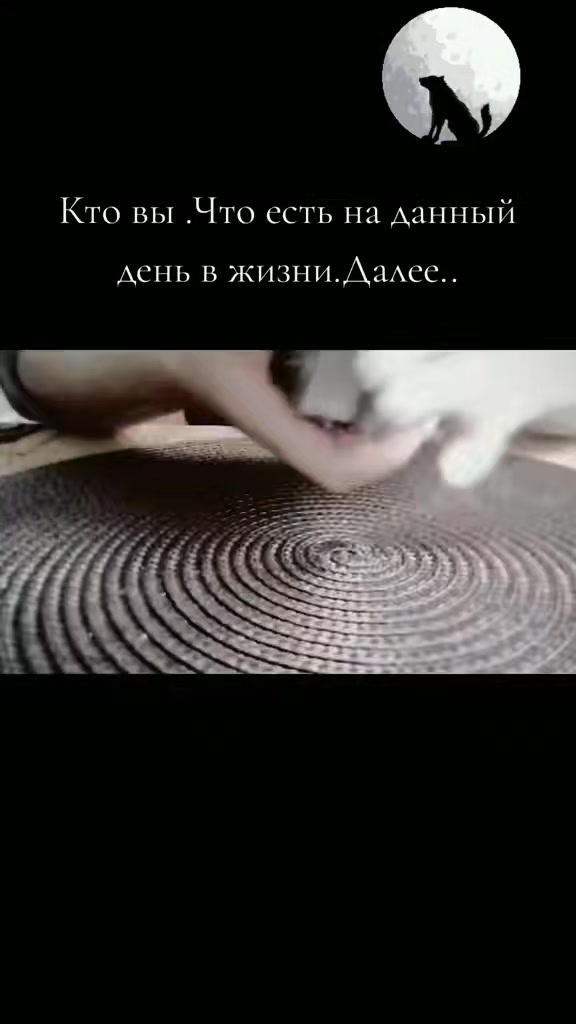 @МАГИЯТАРО сTat'yanoy🍀🔑