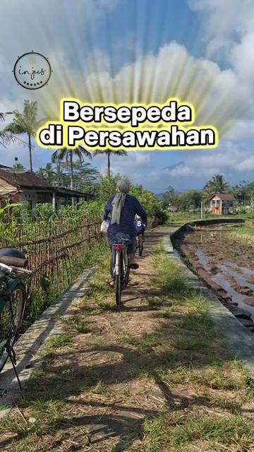 @injus.saestu