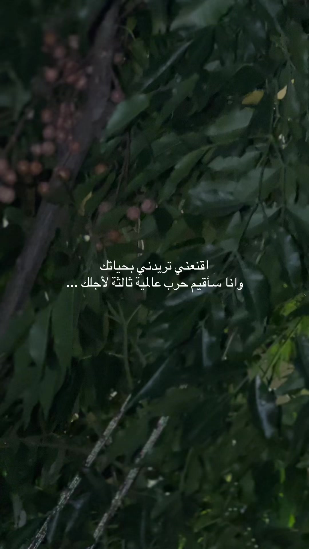 @♛ أيـــوشــ🏹