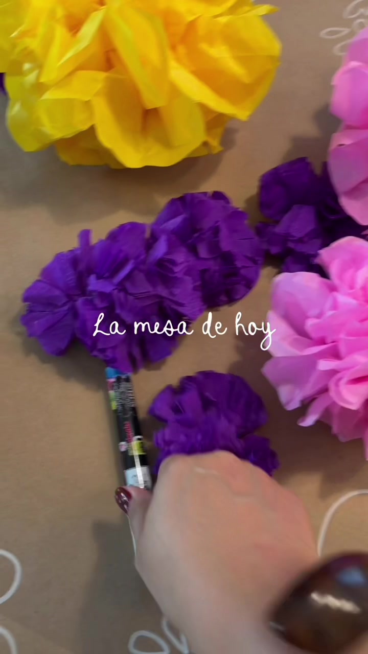 @aniavillasenor
