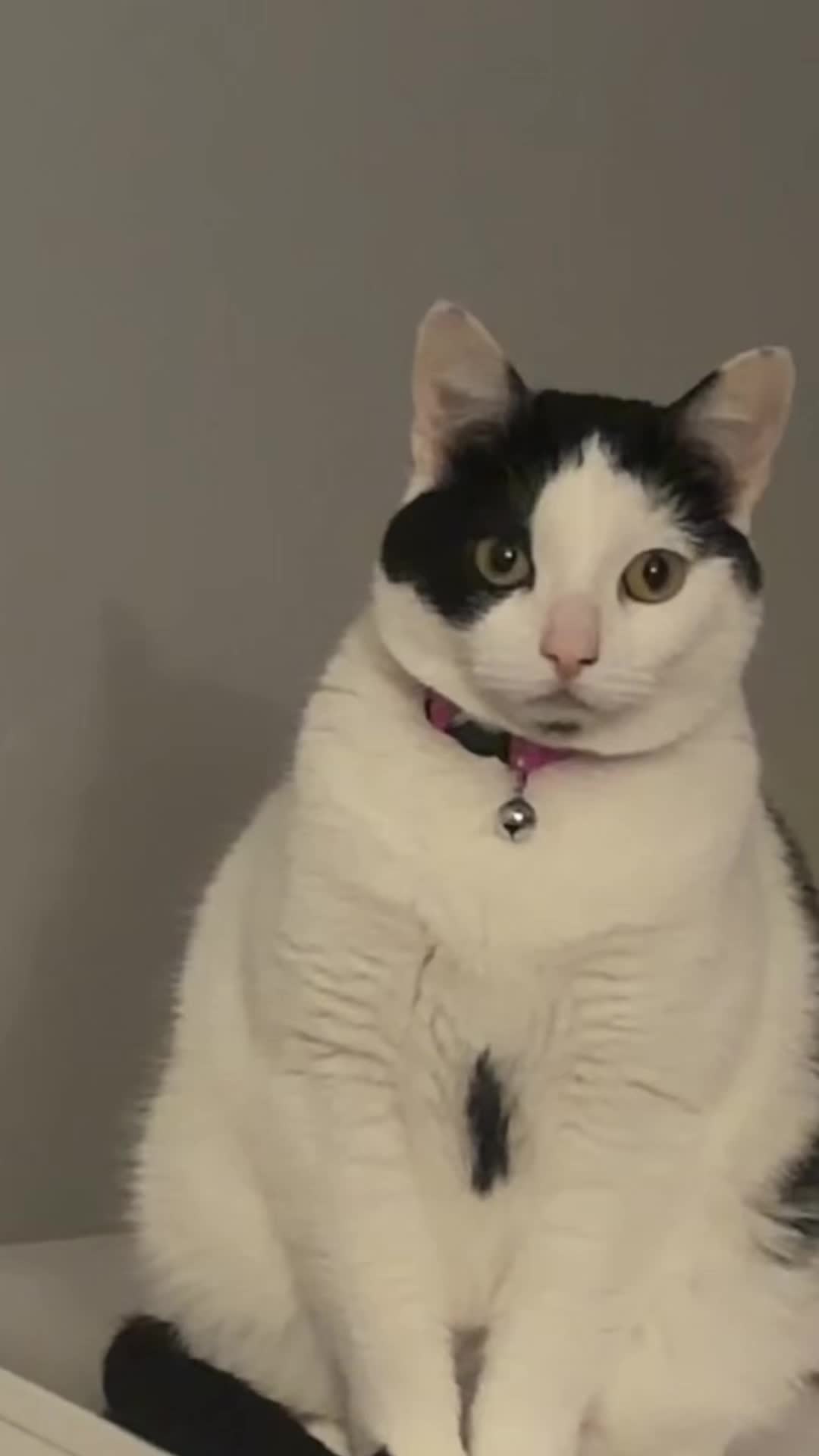 @𝙖𝙡𝙮𝙨𝙨𝙖ꨄ