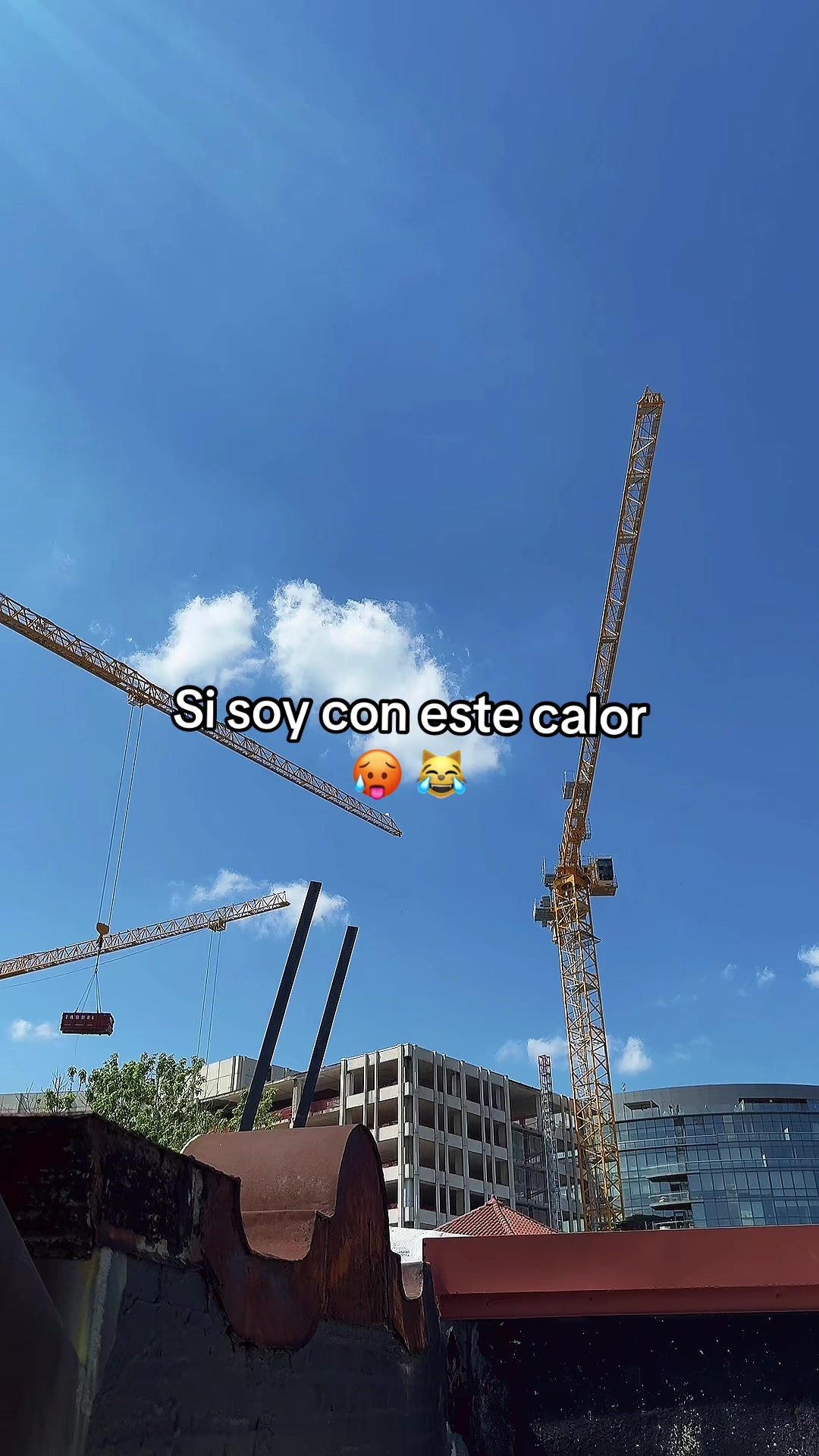 @Ronal 🔥