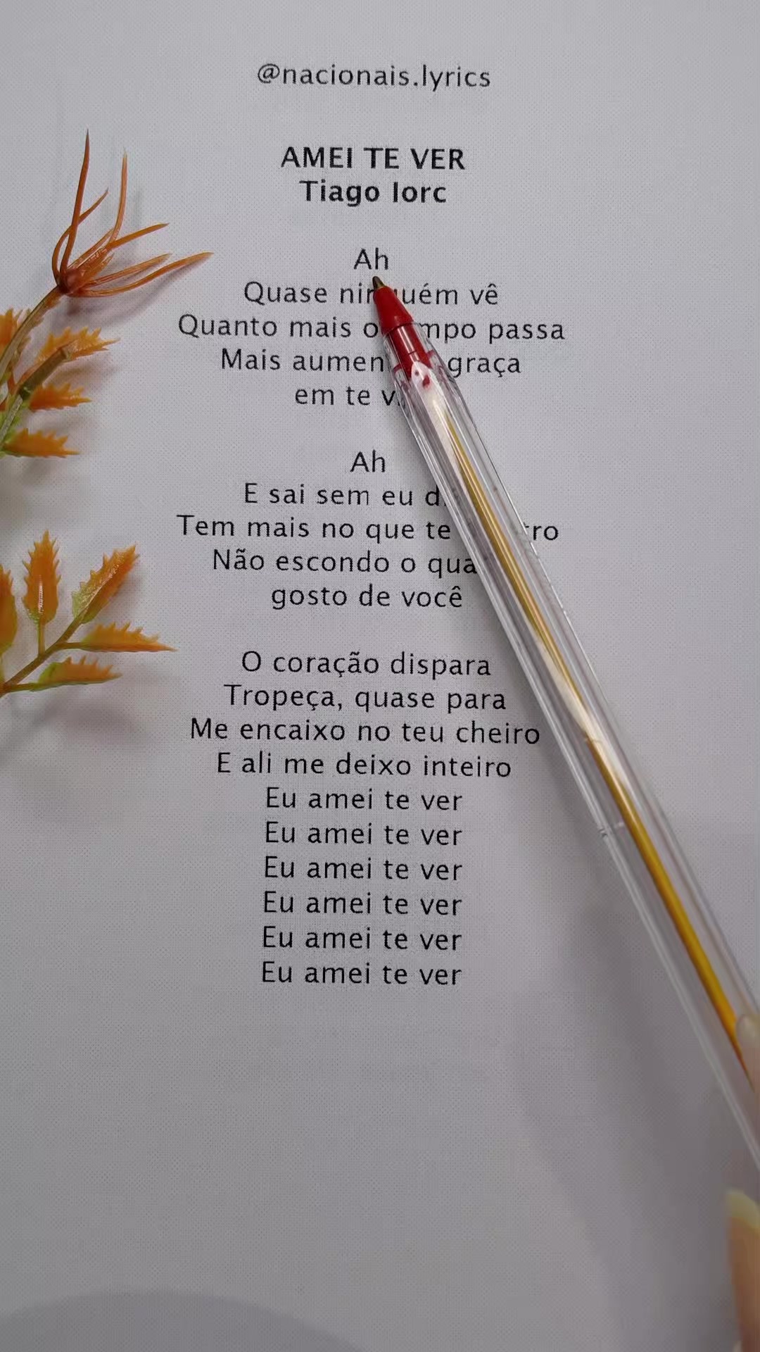 @nacionais lyrics