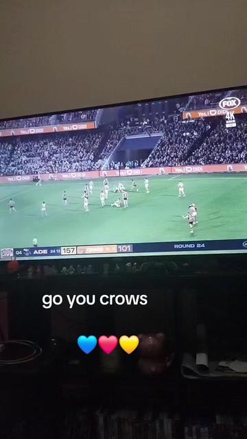 @Mandapandabear🇦🇺