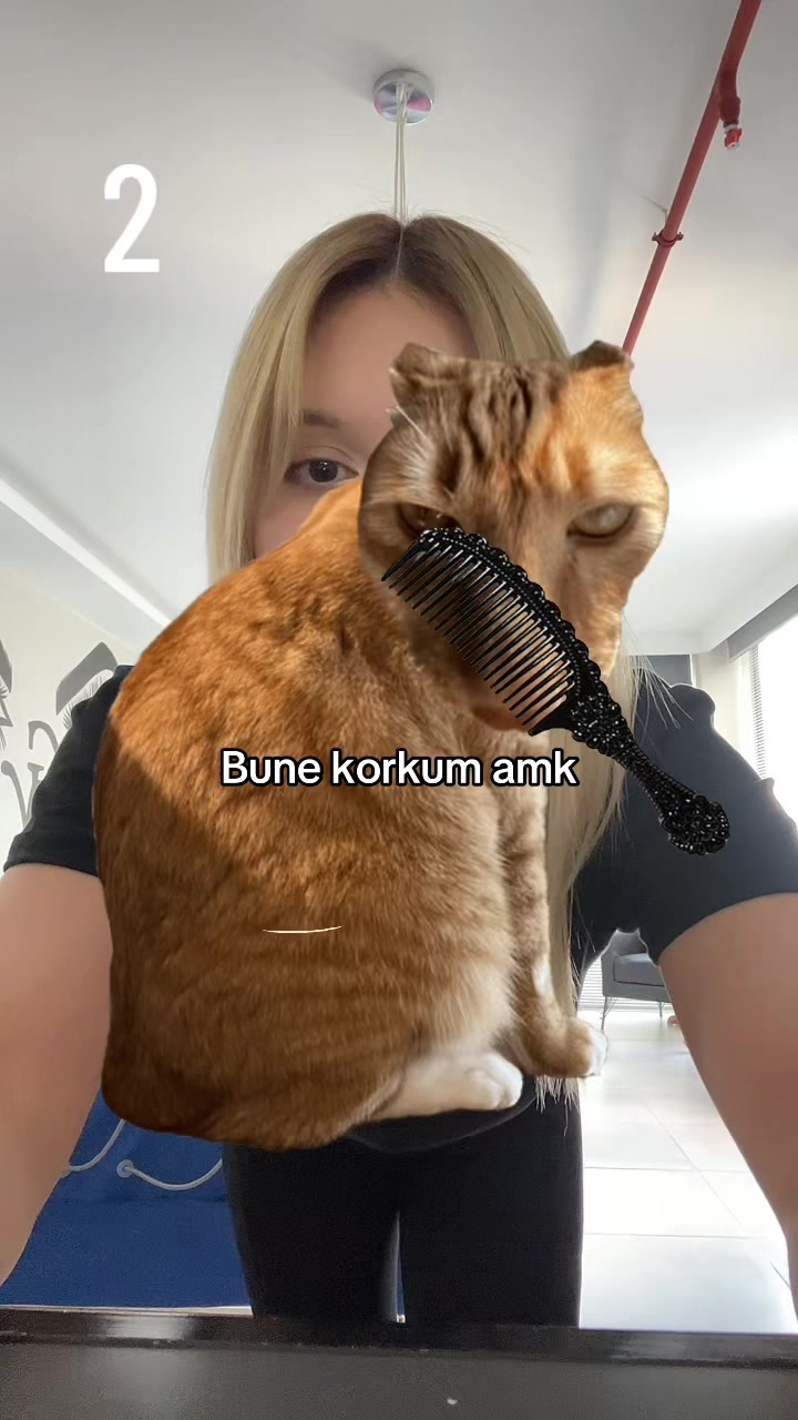 @Eceeresmi