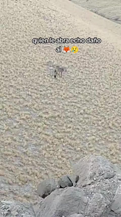 @Eli Márquez