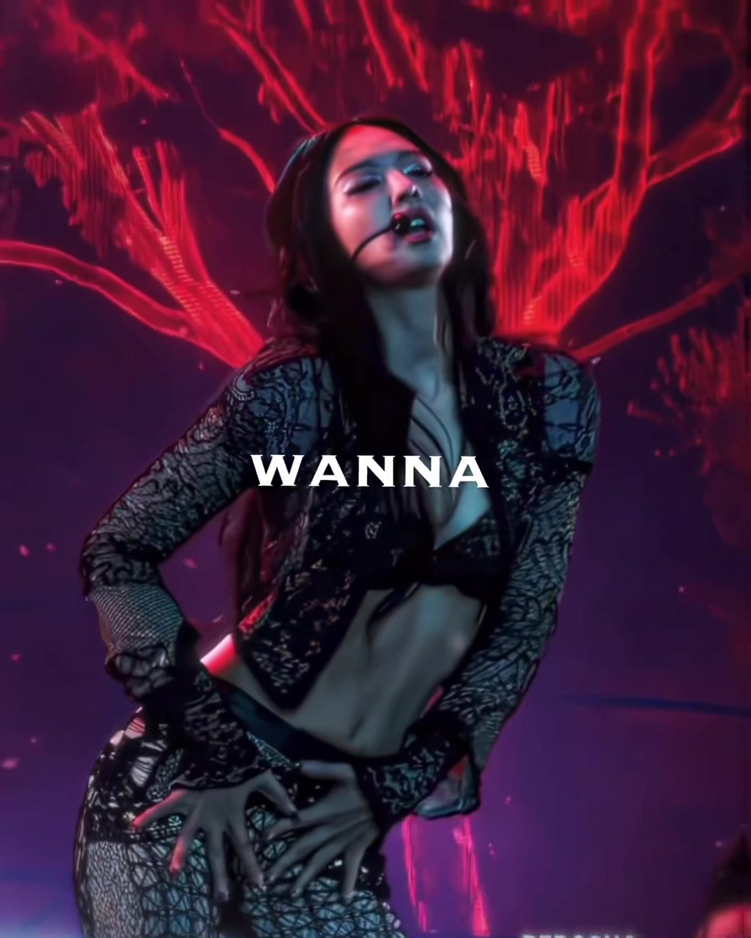 @Niel 🦉