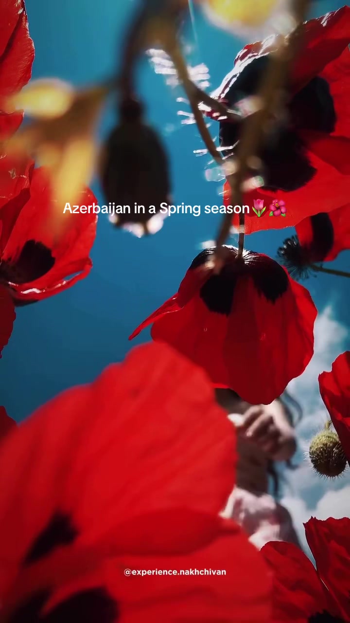 @Azerbaijan Explore