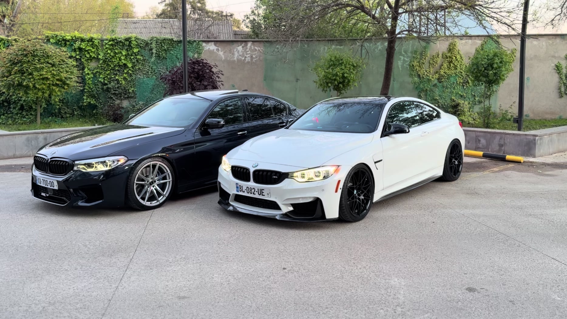@habib_myev