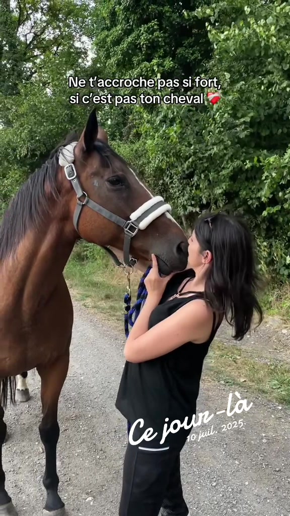 @shoot_equestres