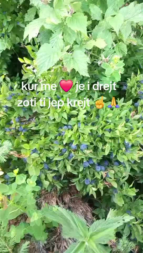 @adem toshi