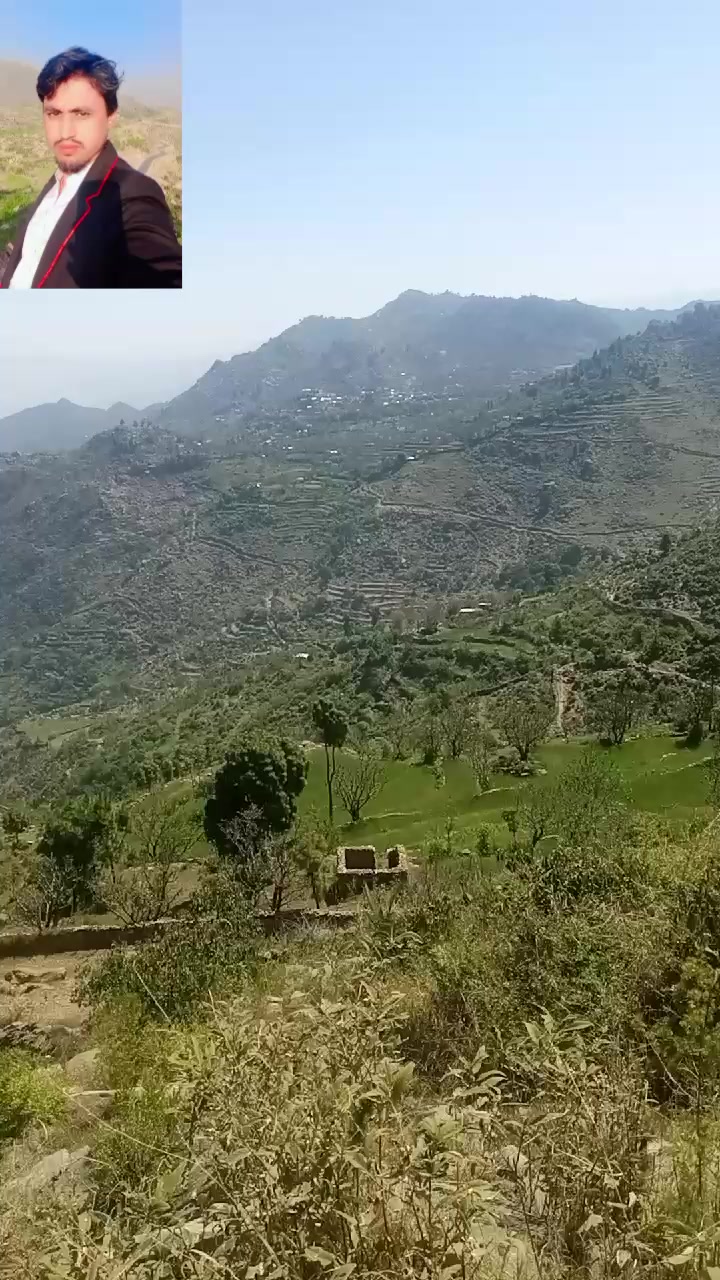 @zafarali 1243