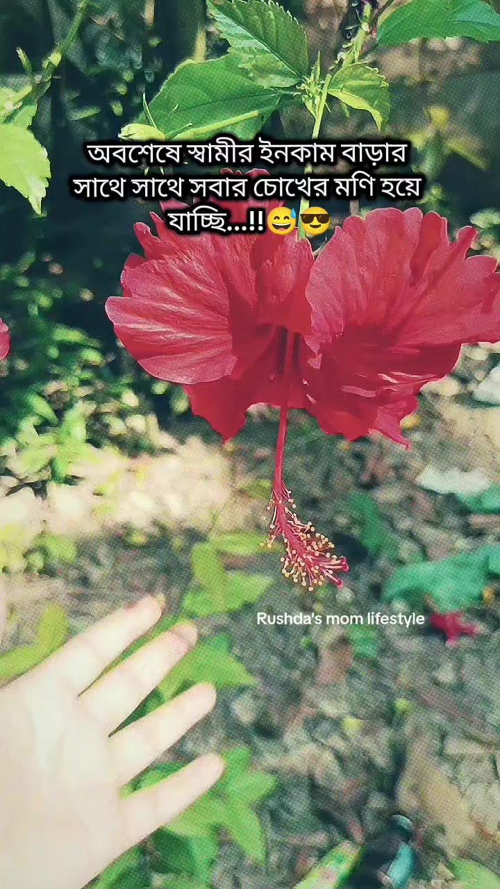 @🇲🇾 রুশদার আম্মু ✈️