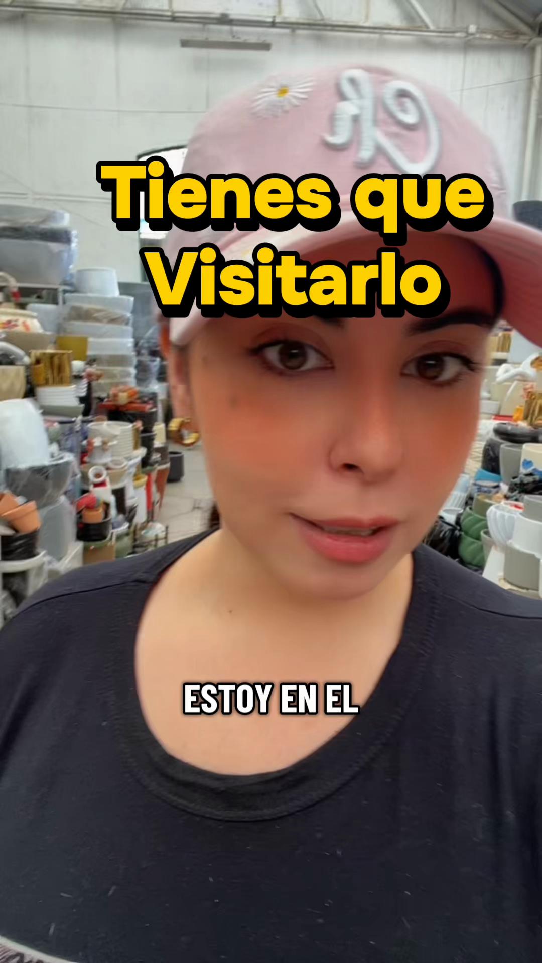@amonia.oficial