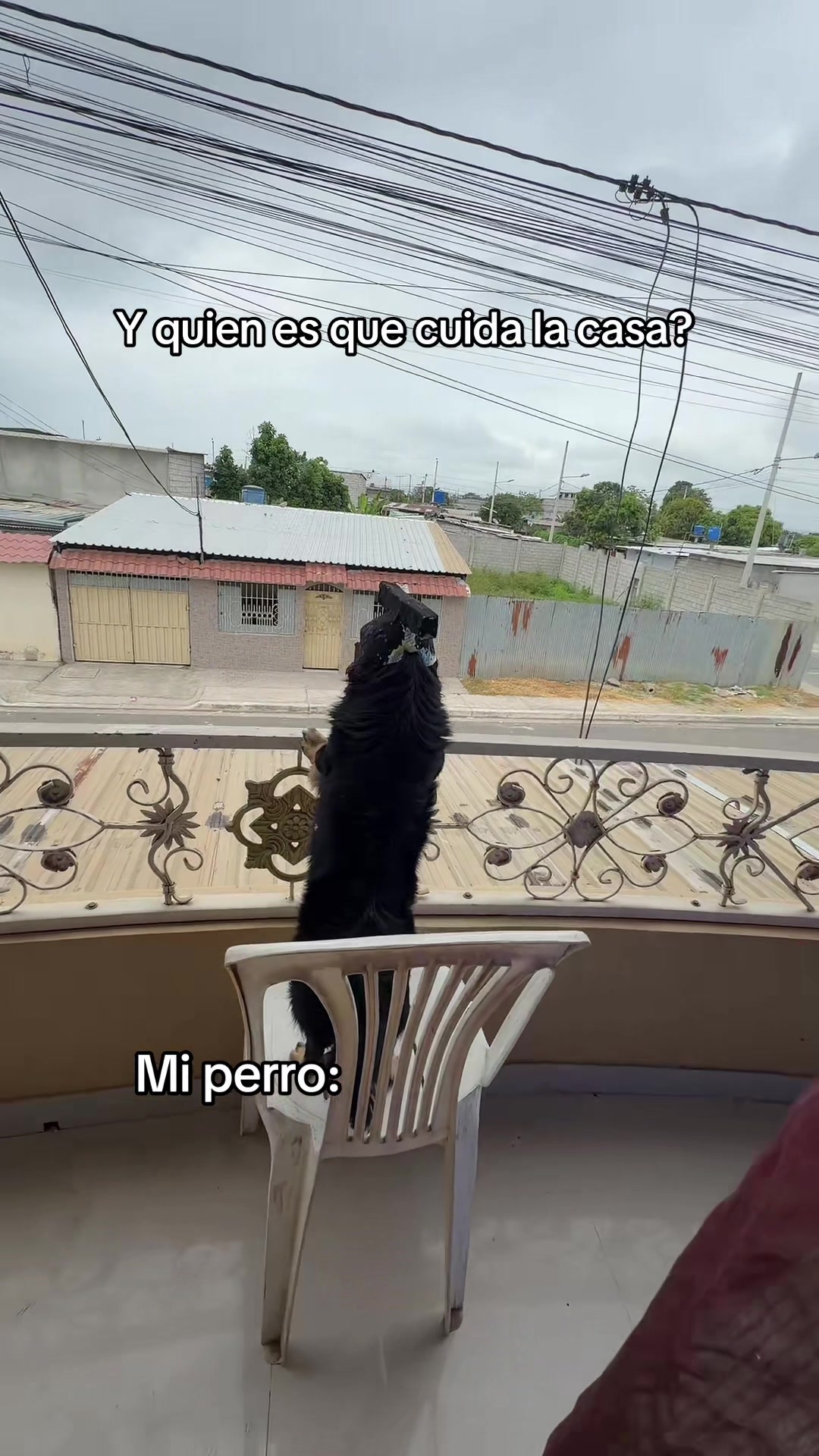 @🍀🐾Luis Pulgarin y Mafrencito