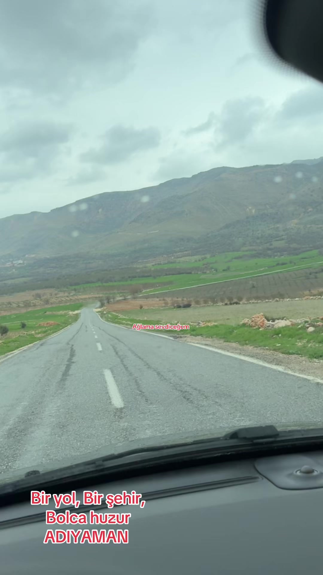 @Songül Gözübüyük