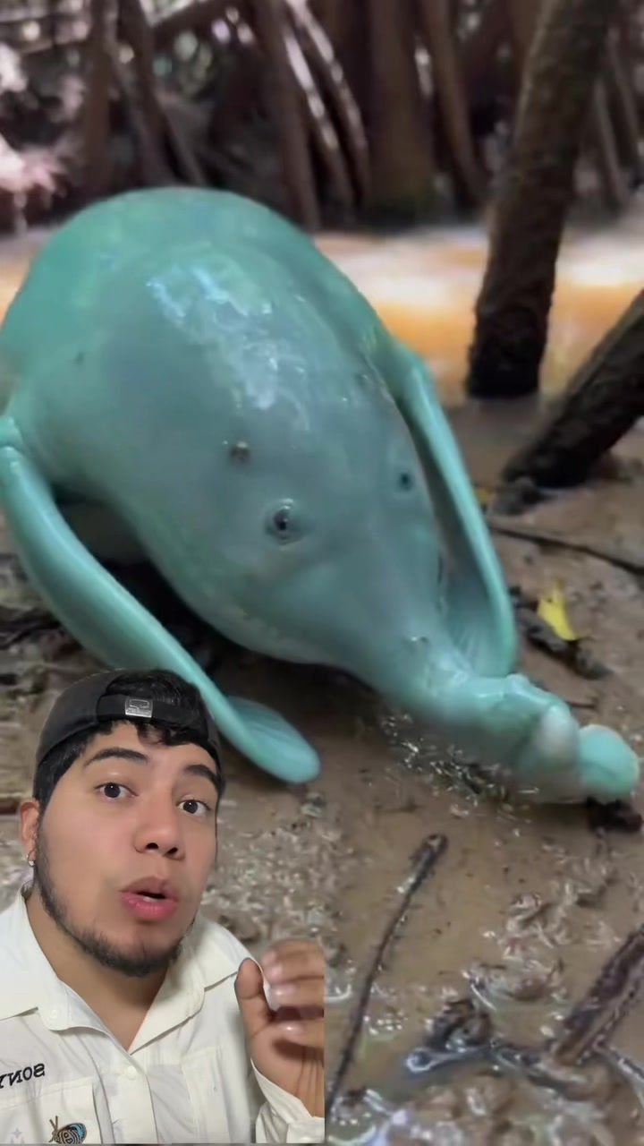 @Soy Sebassalvaje (dúos)