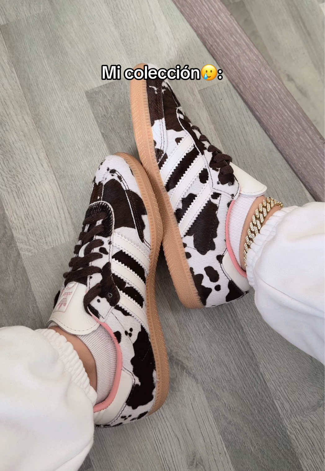 @absolute.mx_