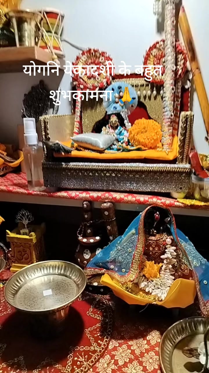 @Anjani Thakur🌻🌻