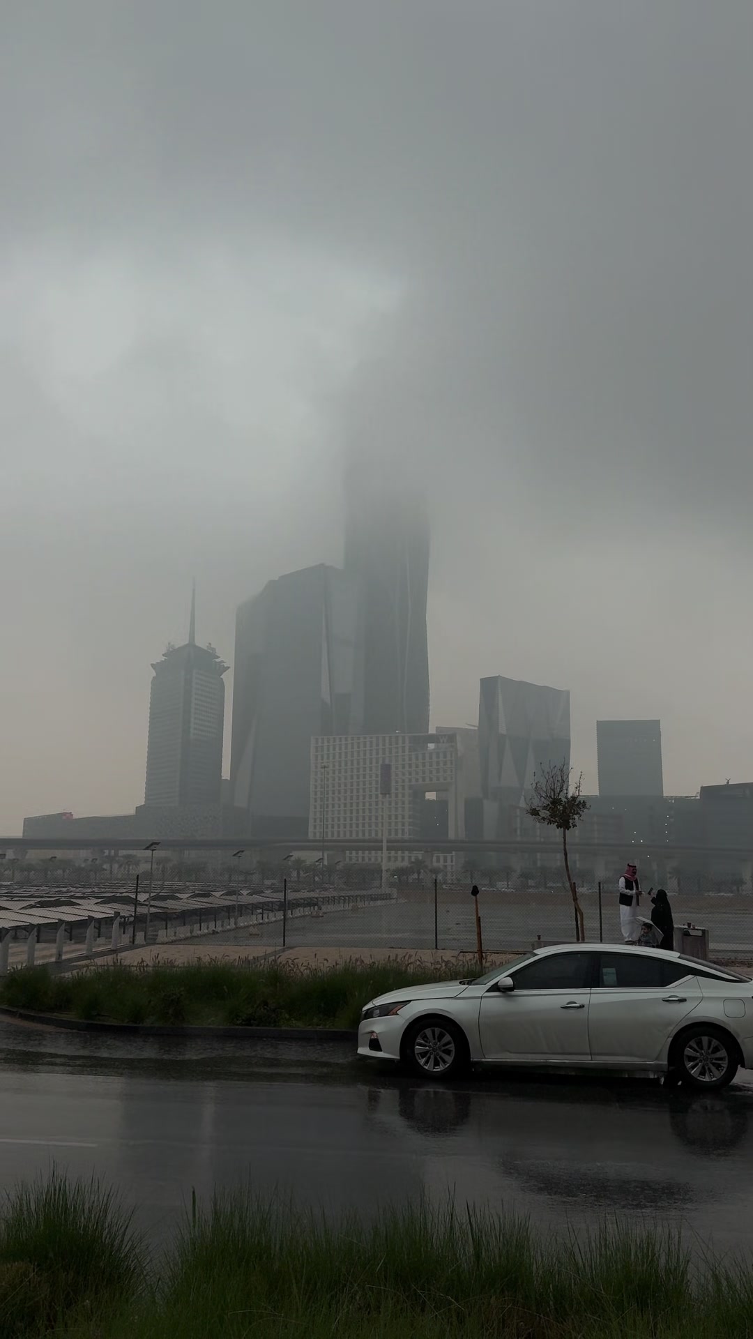@Y 𝚂 F  🇸🇦