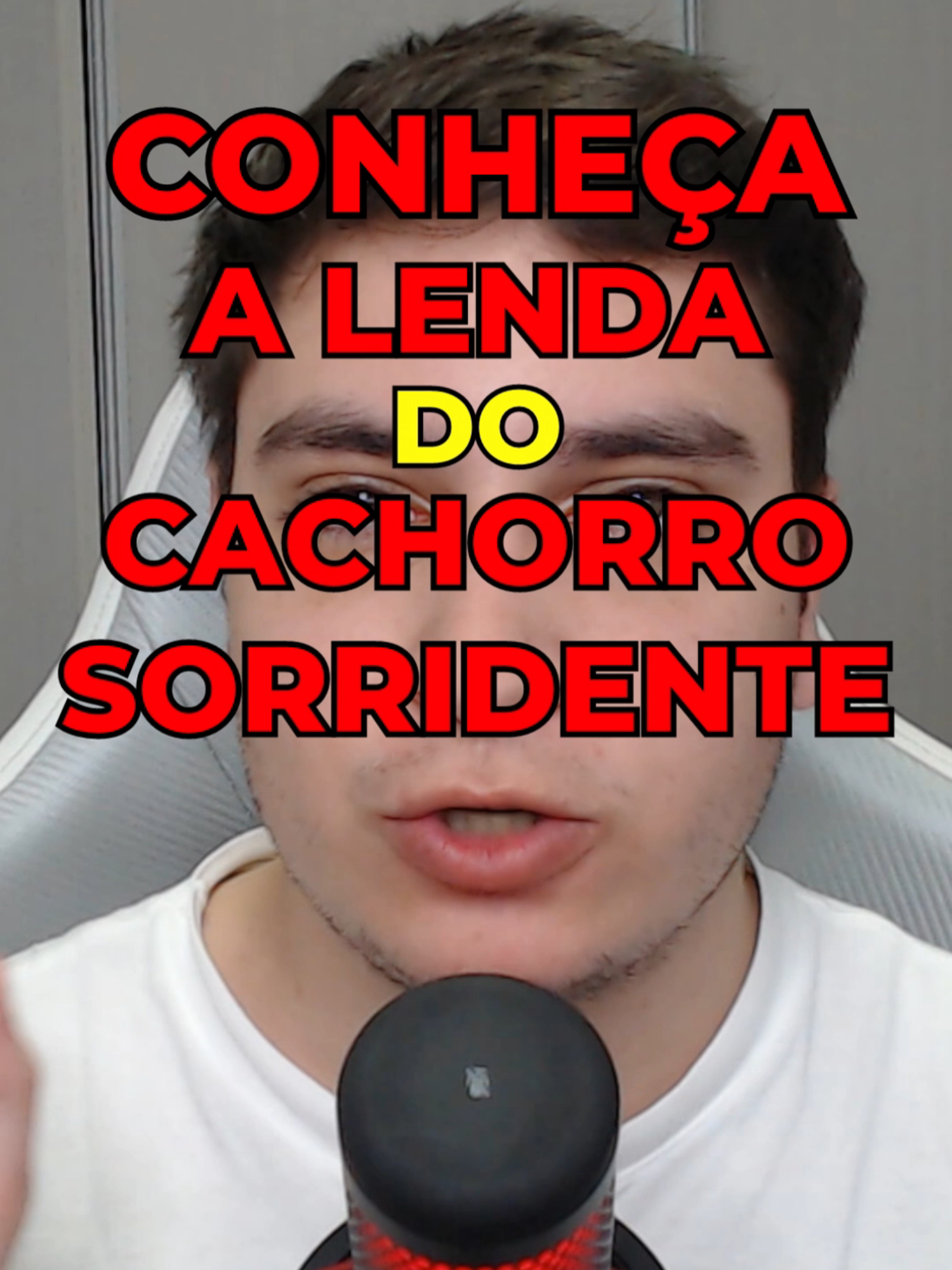 @artioli