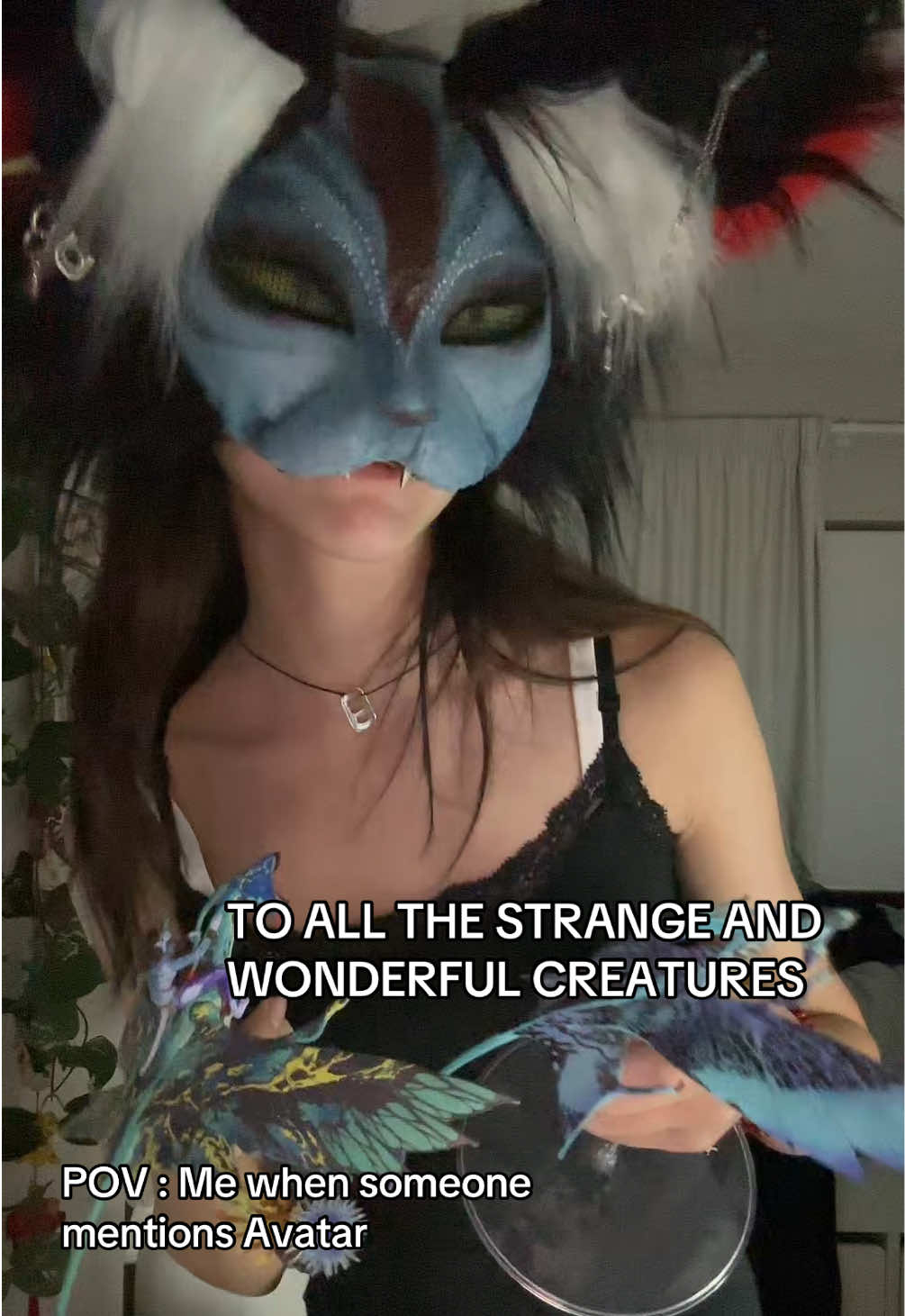 @kuraiism