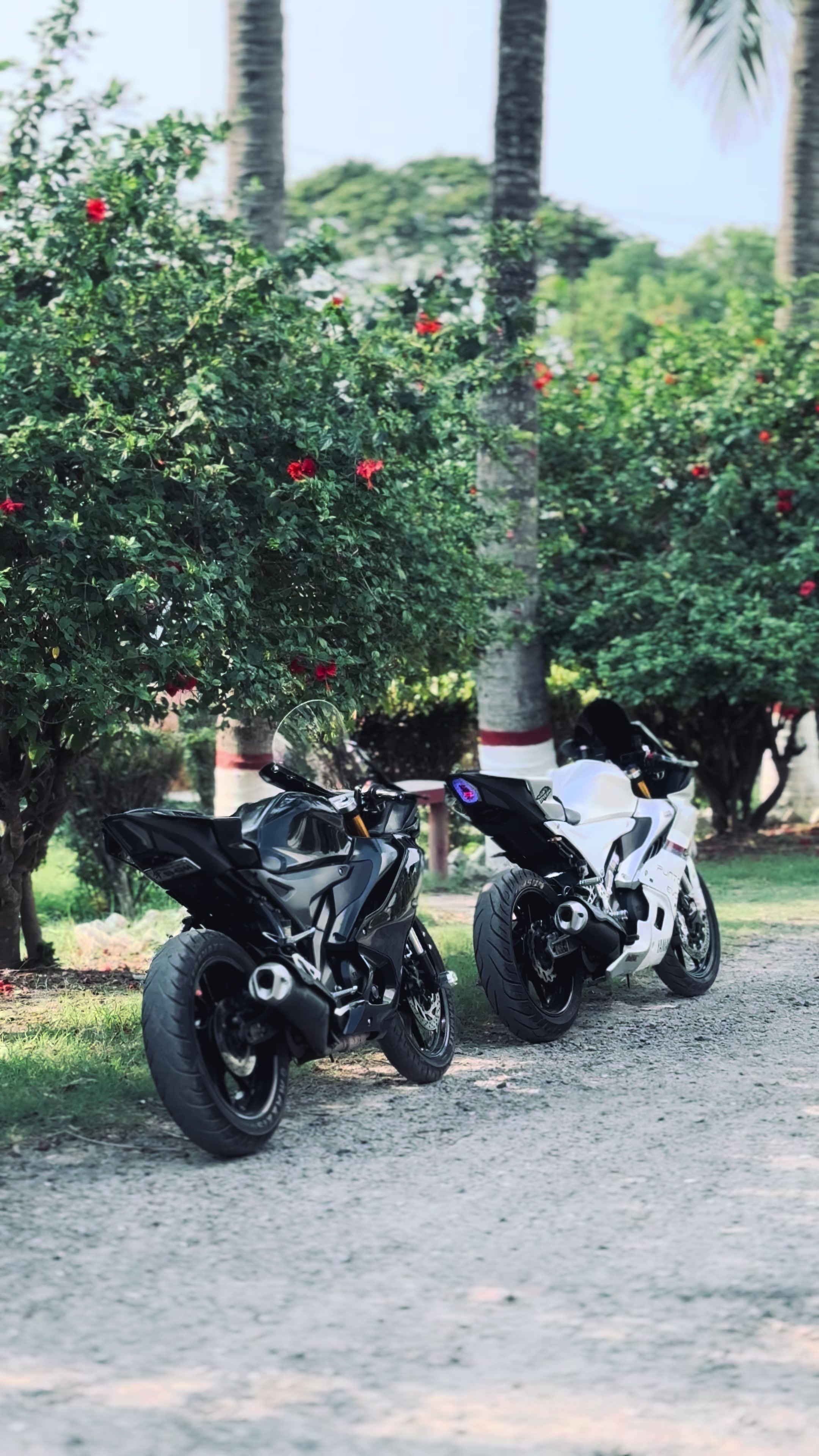 @_Lone Wolf_RR🐺