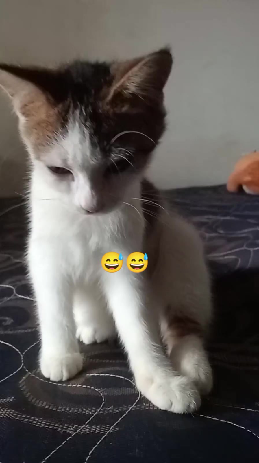 @Rizqi