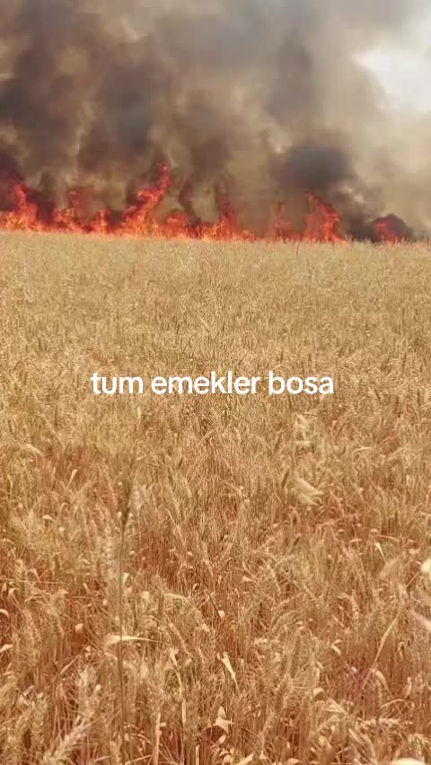 @murat süngü
