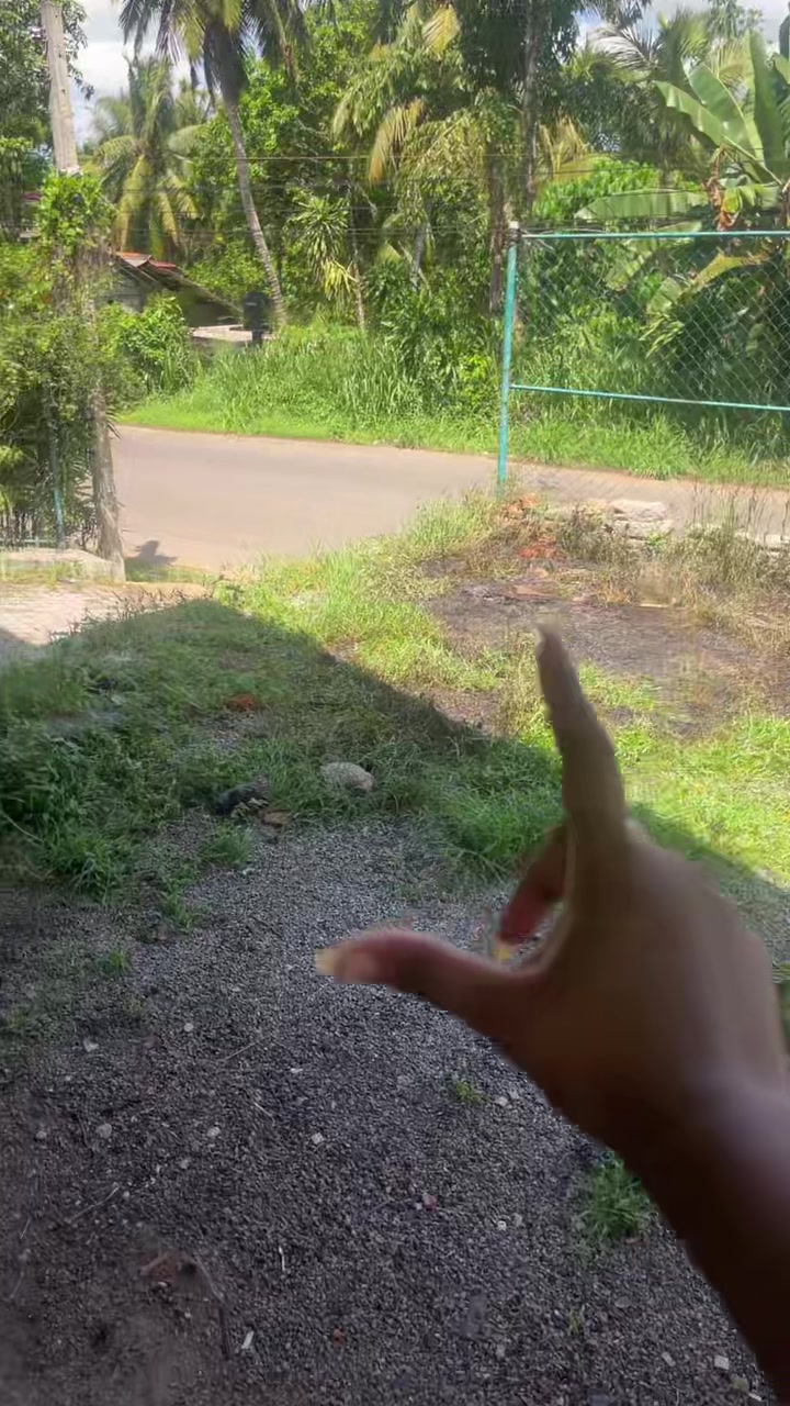 @අනූ • මෙලා