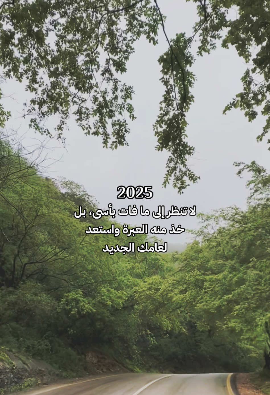 @Rnoo