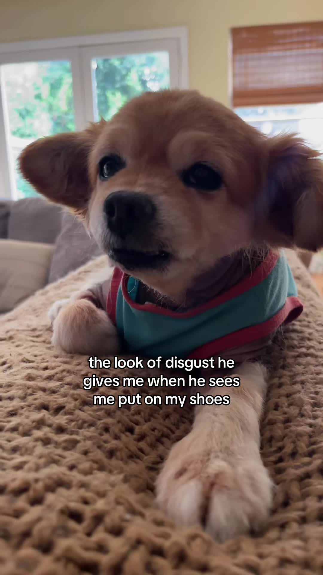 @kingpep