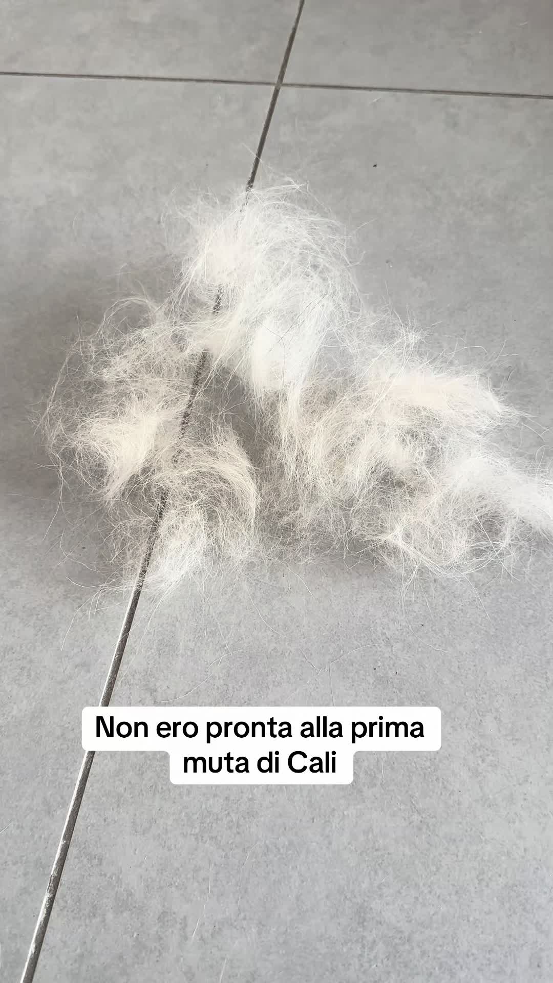 @Raffa&Cali